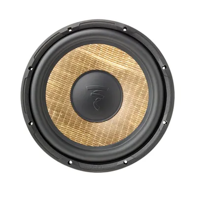 Produktbild von FOCAL P 25 FSE Subwoofer 25 cm FLAX EVO