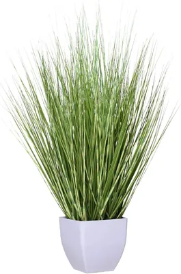 Image de VIVANNO Plante artificielle plastique ZEBRA Conique, vert rayé - 40x80 cm