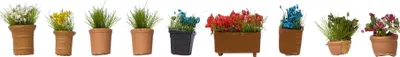 Produktbild von NOCH 14031 - H0 Blumen in Blumentöpfen, 9 Blumentöpfe - Neu