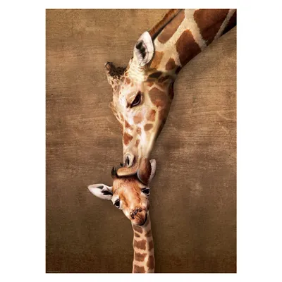 Obrázek produktu pro Eurographics Giraffe Mother's Kiss 1000pcs, 1000 kusů, Zvířata