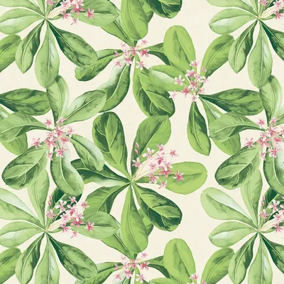 Produktbild von Airlaid Tischdecke Jane, 80 x 80 cm, 20 Stück - Mank - Mitteldecke Floral