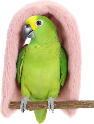 Zdjęcie produktu dla Cieplutka jaskinia z polaru - Namiot dla średnich papug Różowy L | Parrot Planet
