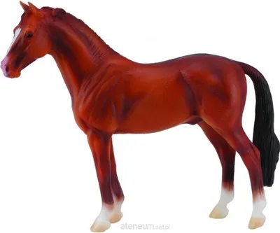 Produktbild von COLLECTA Hannoveraner Hengst - (XL)