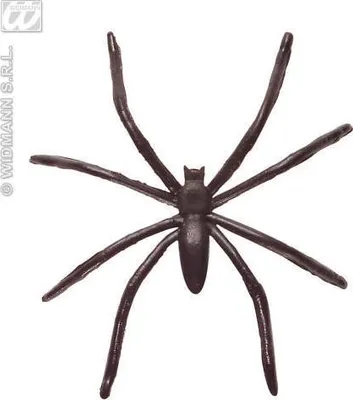 Produktbild von Idena 5382 50 Mini Spinnen, Plastik, schwarz, 15,8 x 13,4 x 3 cm