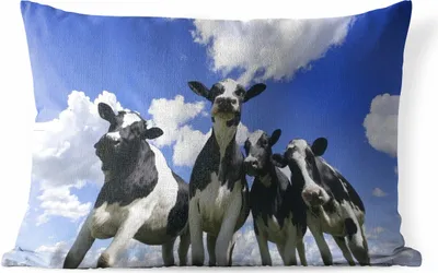 Produktbild von MuchoWow® Outdoor Kissen - Kuh - Luft - Tiere - 60x40 cm - Wetterfest - Lounge Kissen - Zierkissen - Kissen für Innenräume