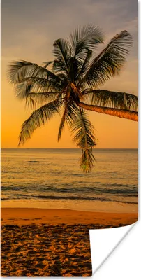 Produktbild von MuchoWow® Poster Palme - Strand - Sonnenuntergang - Meer 20x40 cm - Plakat - Foto
