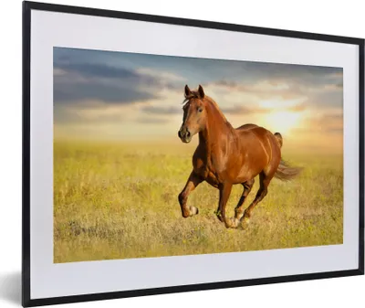 Produktbild von MuchoWow® MuchoWow® Gerahmtes Poster Pferd - Sonne - Gras - Tier 60x40 cm - Poster mit zchwarzem Bilderrahmen - Schlafzimmer - Plakat in Rahmen - Drucken