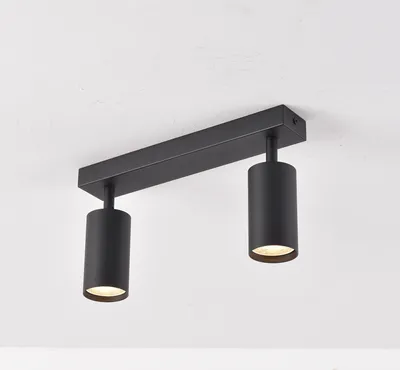 Produktbild von LED 2-flammig Deckenleuchte schwenkbar TWIN schwarz