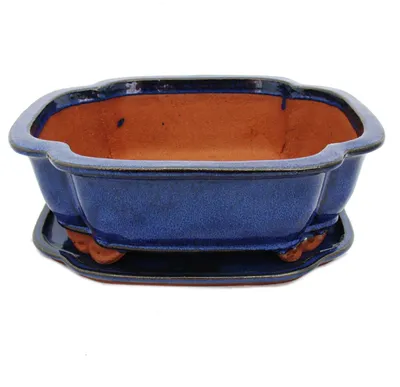 Produktbild von Bonsai-Schale mit Untersetzer, Größe 5 – Haitang i4 – blau – L 31,5 cm – B 26 cm – H 11 cm