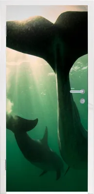 Produktbild von MuchoWow® Türtapete Selbstklebende Türfolie Delfin - Wasser - Blau 90x205 cm Türposter Türaufkleber Klebefolie Türklebefolie - Türaufklebern
