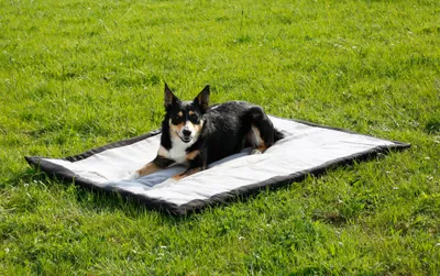 Produktbild von Kerbl Hundedecke Trip 140 x 100 cm Grau und Schwarz 81265
