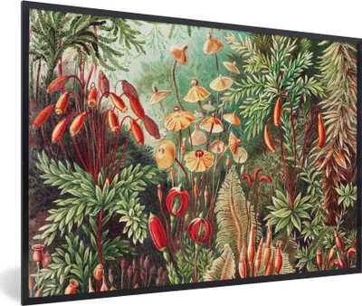 Produktbild von MuchoWow® Gerahmtes Poster Blumen - Kunst - Vintage - Natur - Botanisch 90x60 cm - Poster mit Schwarzem Bilderrahmen Wandposter Rahmen Foto Bilder - Fotorahmen - Foto-Plakat