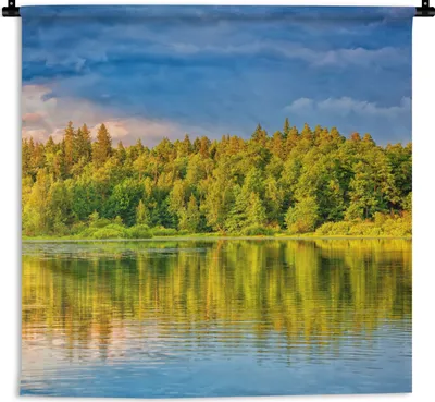 Produktbild von MuchoWow® Wandteppich Wandbehang Wasser - Natur - Wald 60x60 cm Tapisserie Dekoration Wandtuch - Dekorationen - Wand Decke