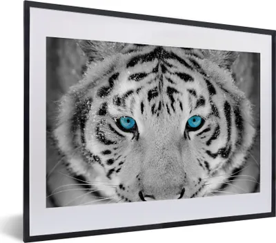Produktbild von MuchoWow® Gerahmtes Poster Tiger - Winter - Tiere 40x30 cm - Poster mit Schwarzem Bilderrahmen Wandposter Rahmen Foto Bilder - Bilderrahmen - Poster im Rahmen