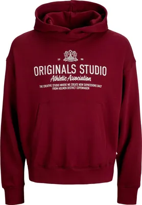 Produktbild von JACK & JONES Herren Hoodie JORCAMBRIDGE Sweat Hood
