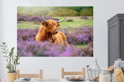 Produktbild von MuchoWow® - Selbstklebend - Fototapeten