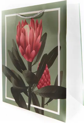 Produktbild von Geschenktüte Floral 26x32cm - Stilvolle Papiertüte mit Blumen - Hochwertige Verpackung