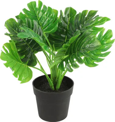 Produktbild von Countryfield Kunstpflanze Monstera im Blumentopf - Grun - 15 x 28 cm