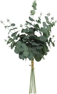 Produktbild von Warentuin Producten