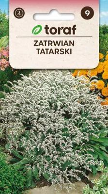 Obrázok produktu pre Semená kvetov tatarského bodliaka – 679 Toraf