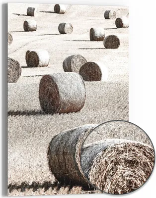 Produktbild von DEQOART Hybrid Leinwand Bild 60x90 cm 'Herbstliche Ernte' Wandbild Glas flach modern