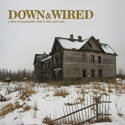 Produktbild von Various-Best of Down & Wired 1 & 2