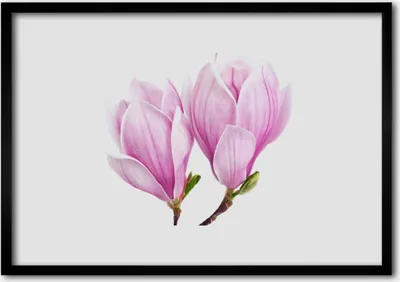 Produktbild von Bild 70x50 MDF-Rahmen Wandkunst Natur Blume Pflanze