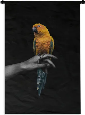 Produktbild von MuchoWow® Wandteppich Wandbehang Vogel - Zweig - Papagei 90x135 cm Tapisserie Dekoration Wandtuch - Baumwolle - Wandskulptur