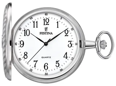 Obrázek produktu pro Pánské hodinky Festina F2021-1