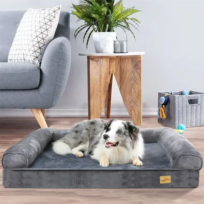 A dog is resting on a dog bed in a living room setting, with a sofa, side table, and plant visible.