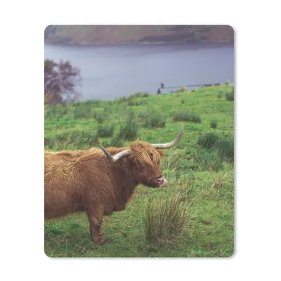 Produktbild von MuchoWow® Mauspad Mousepad Schottische Highlander - Gras - Wasser - Tiere 30x40 cm - Mousepads - Maus Mat - Pad - Mausunterlage - Mausmatten