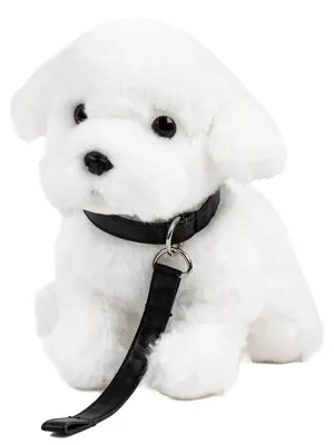 Produktbild von Kuscheltier Malteser mit Leine sitzend weiß 26 cm Plüschhund