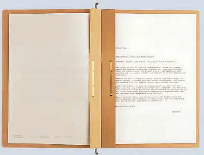 Immagine prodotto di Leitz 1987-00-00 1987 raccoglitore a sospensione ALPHA® a doppia piega, pinzatura commerciale e ufficiale, cartoncino di natron, marrone naturale