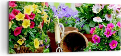 Produktbild von Bild auf Leinwand - Leinwandbild - Pflanzen Garten Frühling Natur - 120x50cm - Wand Bild - Wanddeko - Leinwanddruck - Bilder - Kunstdruck - Wanddekoration - Leinwand bilder - Wandkunst - AB120x50-2682