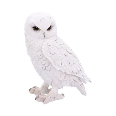 Produktbild von Große Weiße Schneeeule ";Snowy Watch";