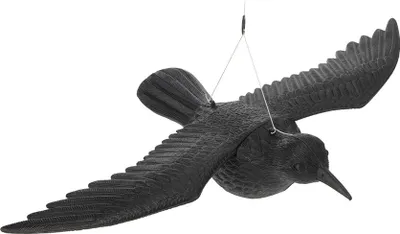 Image de Corbeau Volant Plastique Effaroucheur De Pigeons Réaliste - Edm