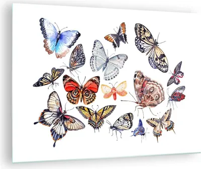 Produktbild von Bilder auf glas - Schmetterlinge Illustration Bunt Flügel - 70x50cm - Glasbilder - Wandbilder - Kunstdruck - Wanddekoration aus Glas - Glas Bilder - Wandbild auf Glas - GAA70x50-2916