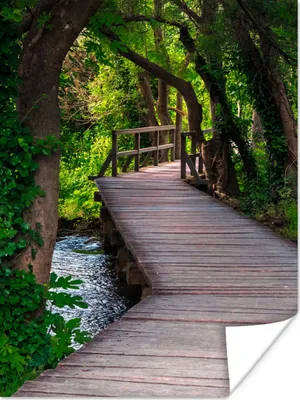 Produktbild von MuchoWow® Poster Wald - Natur - Brücke 90x120 cm - Wohnzimmer