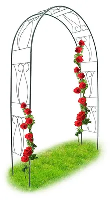 Produktbild von Rosenbogen Rankhilfe Kletterhilfe - Gepulverbeschichtetes Metall - Dunkelgrün - 233 x 153 x 39 cm