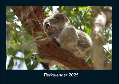 Produktbild von Tierkalender 2025 Fotokalender DIN A4
