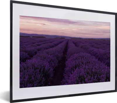 Produktbild von MuchoWow® Gerahmtes Poster Lavendel - Lila - Blumen - Natur 40x30 cm - Poster mit Schwarzem Bilderrahmen Wandposter Rahmen Foto Bilder - Bilderrahmen - Poster im Rahmen