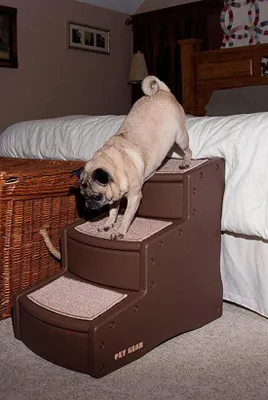 Image de Escalier pour animaux de compagnie, idéal pour chats et chiens - stable et antidérapant