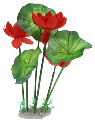 Produktbild von Kunststoff-Aquariendekoration, Pflanzen, weiß, lila, 26 cm