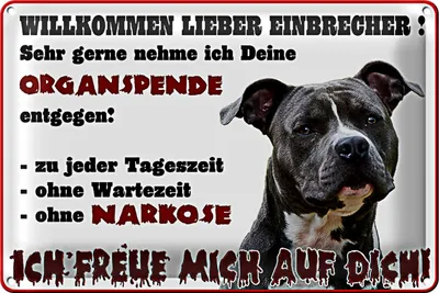 Produktbild von Blechschild Warnschild 30x20cm Willkommen lieber Einbrecher