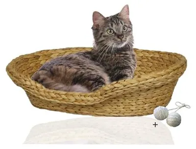 Produktbild von Rohrschneider Komfortables Katzenkörbchen mit Katzenkissen| Katzennest Korb Wasserhyazinthe | Katzenkörbchen geflochten zum Schlafen | Umweltfreundliches Katzenbett mit Kissen, Größe:Größe 1