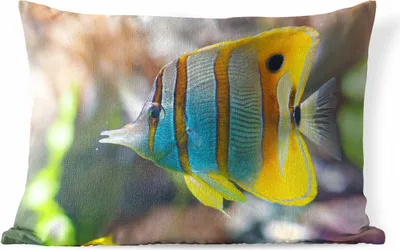 Produktbild von MuchoWow® Outdoor Kissen - Fisch - Wasser - Makro - 50x30 cm - Wetterfest - Lounge Kissen - Sofa kissen - Wohnzimmer Dekoration