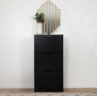 A black shoe cabinet with three drawers against a white wall, topped with a decorative mirror and a vase with a plant.