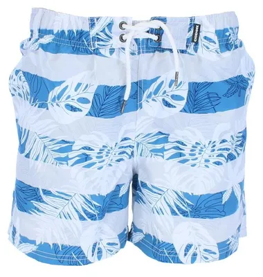 Produktbild von Chiemsee Herren Badeshorts Alloverprint 2051803
