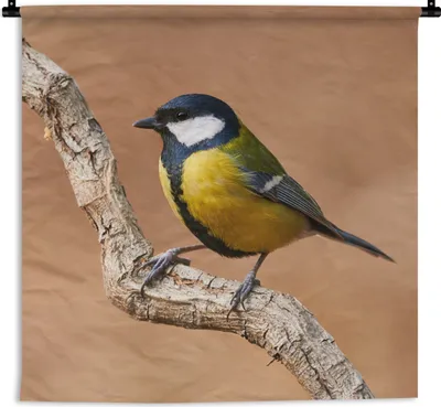 Produktbild von MuchoWow® Wandteppich Wandbehang Vogel - Kohlmeise - Zweige 90x90 cm Tapisserie Dekoration Wandtuch - Wandaufhänger