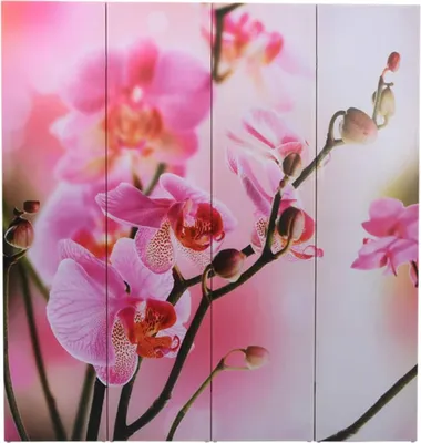 Produktbild von vidaXL Raumteiler klappbar 160 x 170 cm Blume